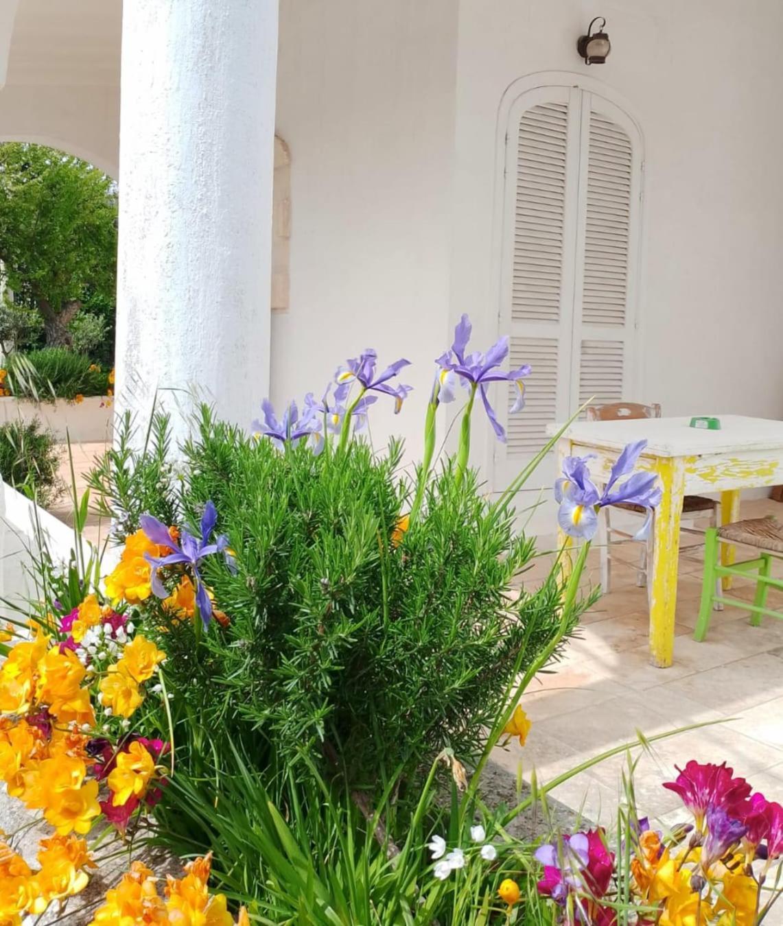 La Dimora Di Nonna Giuliana Hotel Ostuni Bagian luar foto